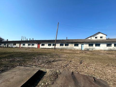 комерційна за адресою Київська вул. (107-ї Кременецької Дивізії), 50