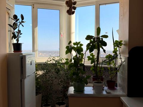 квартира по адресу Архитекторская ул., 24
