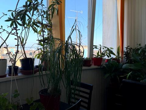 квартира по адресу Архитекторская ул., 24