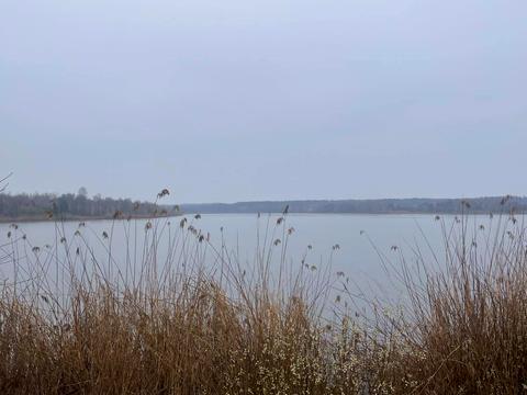 дом по адресу Центральна, 110