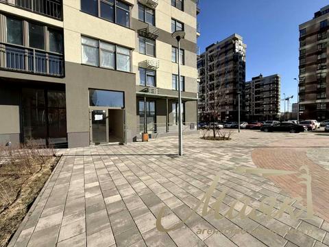 комерційна за адресою Олександра Олеся вул., 3