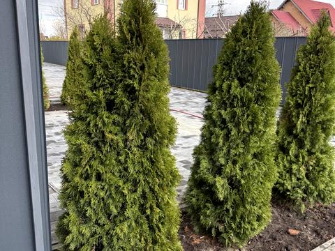будинок за адресою Буча, Назарія Яремчука вул.