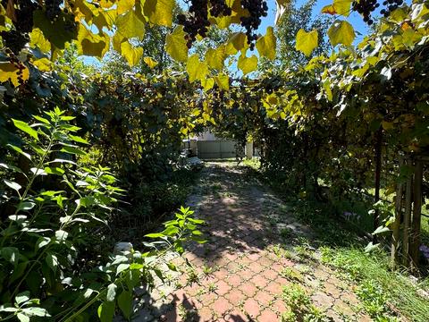 участок по адресу с. Зарванцы, 