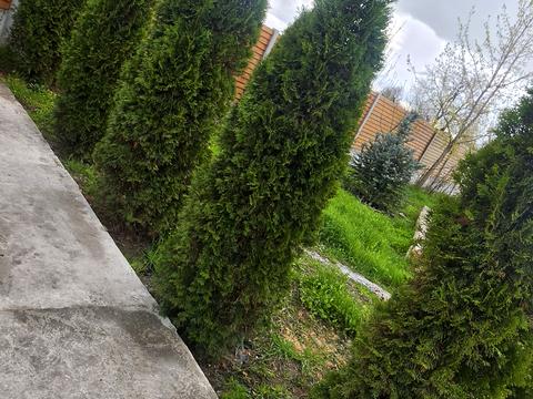 будинок за адресою Обласна вул., 25-А