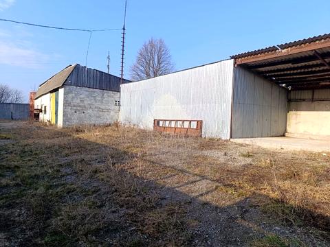 комерційна за адресою франка, 17