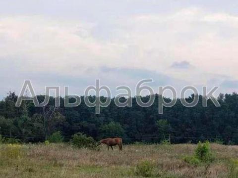 будинок за адресою Лисенка вул.