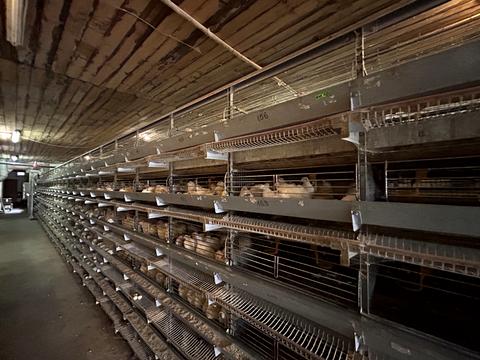 коммерческая по адресу с. Сингуры, Шкільна, 14