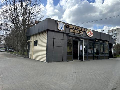 коммерческая по адресу с. Сингуры, Шкільна, 14