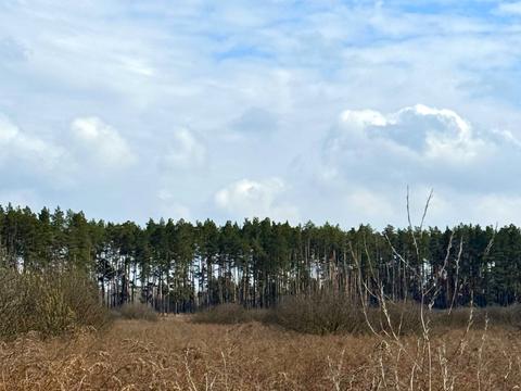 участок по адресу Гайова, 139