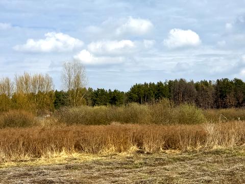 участок по адресу Гайова, 139