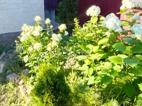 дом по адресу Башкирская ул. (Башкирська), 2