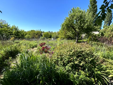 дом по адресу Довженка ул.