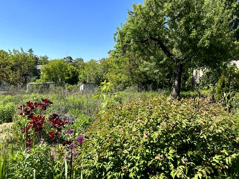 дом по адресу Довженка ул.