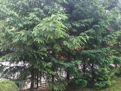 будинок за адресою гайдары