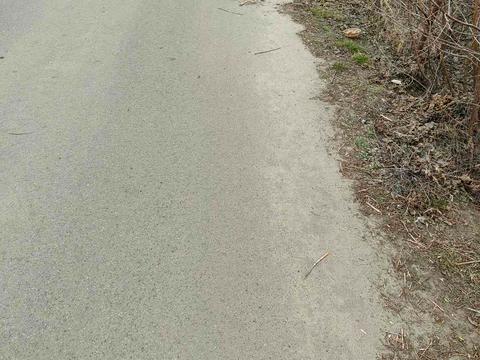 участок по адресу Зоряний провулок, 29