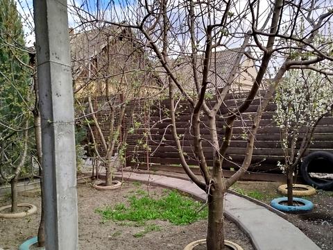 дом по адресу Передаточная ул., 37