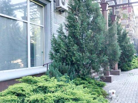 комерційна за адресою Олексія Вадатурського вул. (Фалєєвська), 91