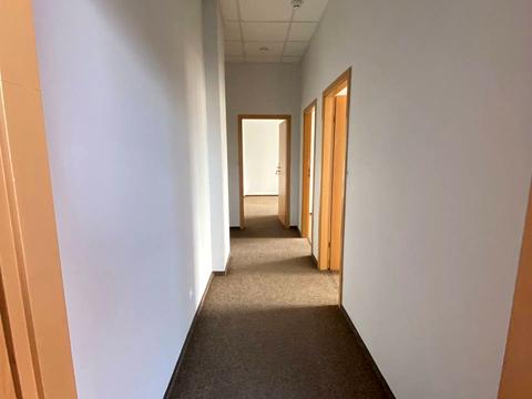 комерційна за адресою Митрополита Василя Липківського вул. (Урицького), 13