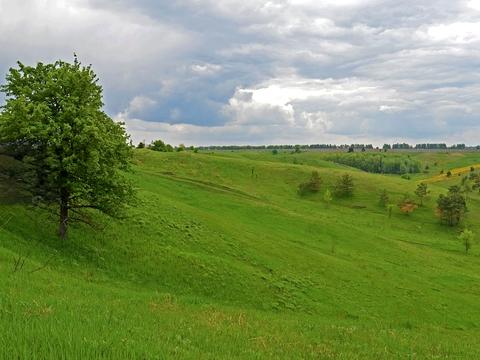 участок по адресу Гайдара