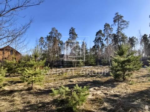 ділянка за адресою Лесі Українки вул. (Генерала Небогатова), 11Д