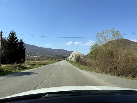 ділянка за адресою Головна