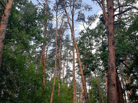 квартира за адресою Олевська вул., 7