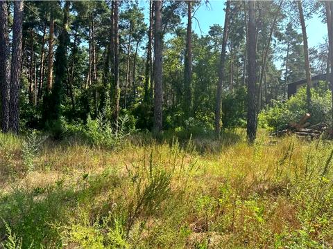 ділянка за адресою Літинська вул., 12