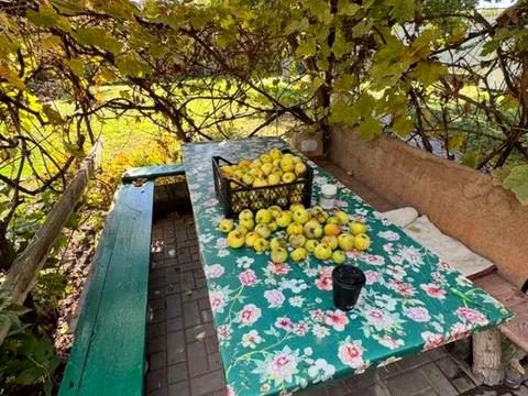 участок по адресу Садовая ул., 53