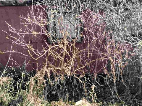 участок по адресу Гайдара