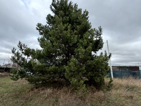 участок по адресу Ярова