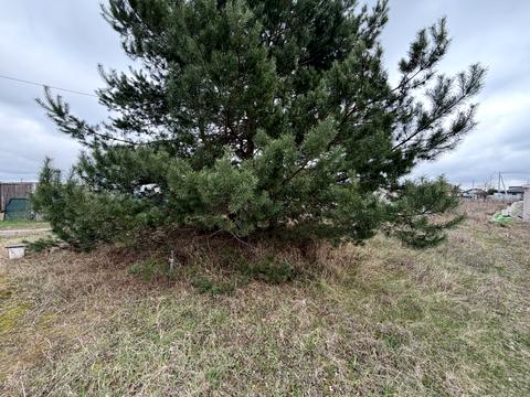 участок по адресу Ярова