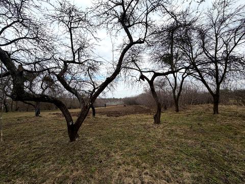 будинок за адресою Лісова, 39