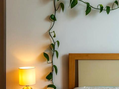 квартира по адресу Раисы Окипной ул., 8