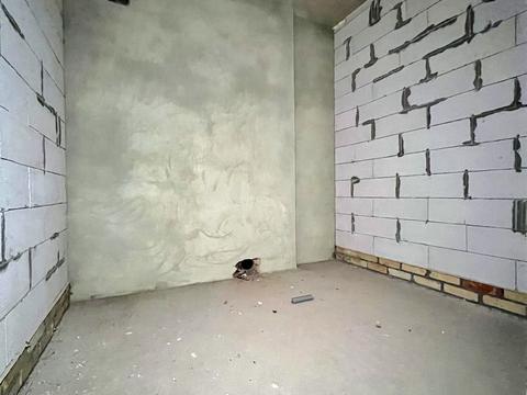 квартира за адресою Дмитерка вул., 47