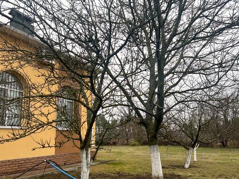дом по адресу Соснова