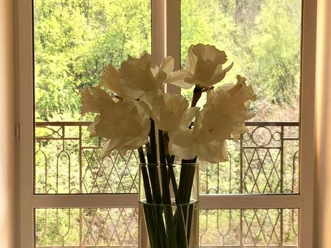 квартира за адресою Дегтярна вул., 19