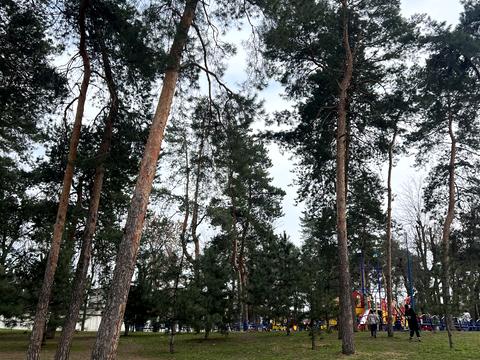 квартира за адресою Свободи просп., 26/41