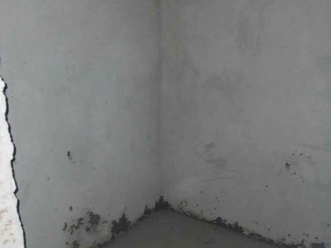 квартира по адресу Іллєнка ул., 3-В