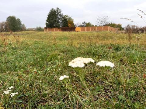 ділянка за адресою 
