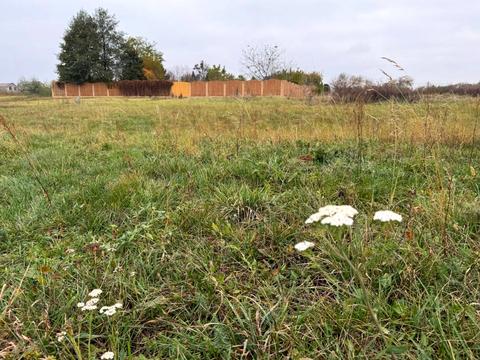 ділянка за адресою 