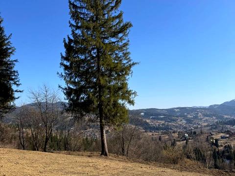 ділянка за адресою 