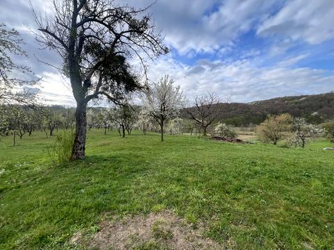 дом по адресу Миру