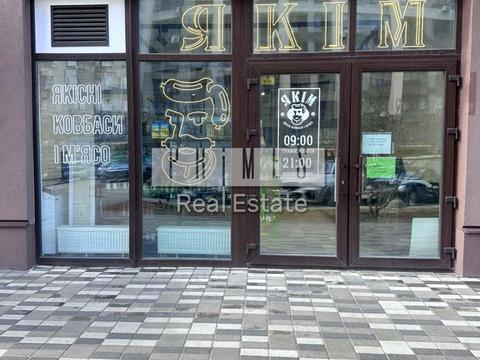 комерційна за адресою Олександра Олеся вул., 6-А