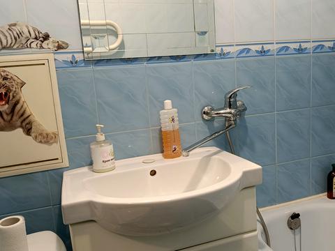 квартира за адресою Степана Бандери просп., 104