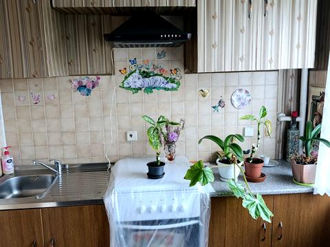 квартира за адресою Степана Бандери просп., 104