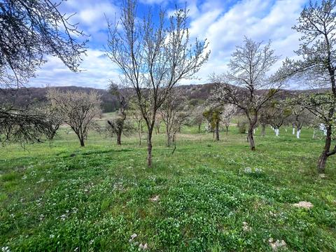 дом по адресу Миру