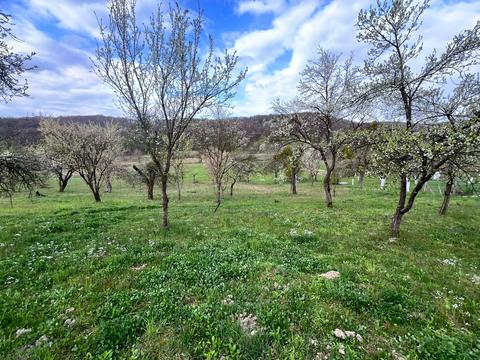 дом по адресу Миру