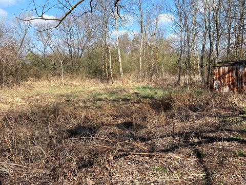 ділянка за адресою Степана Бандери, 100