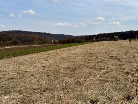 участок по адресу Зубрівська