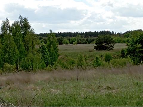 ділянка за адресою Квітква, 4